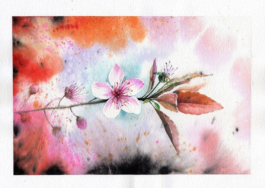 El Significado y la Psicología Detrás de los Colores de las Flores