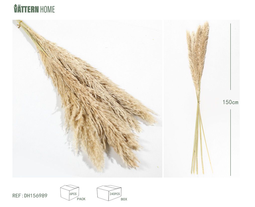 Flor de caña seca artificial 150CM20G decoración beige para el interior, la decoración del espacio es eternamente romántica y la vida hogareña está llena de sentido ritual.