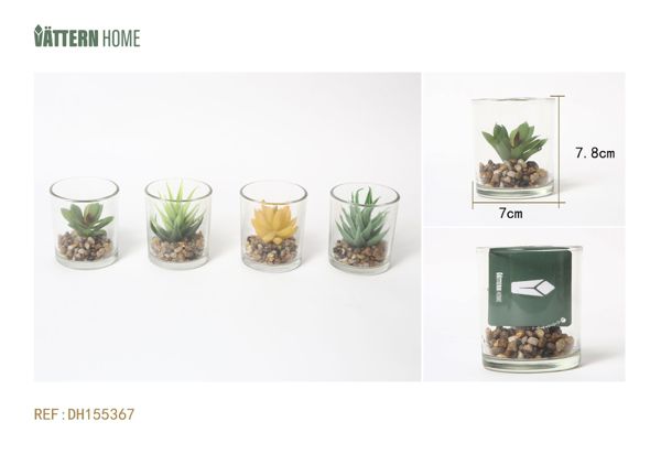 Maceta de vidrio de simulación de planta verde 7*7*7.8CM serie verde