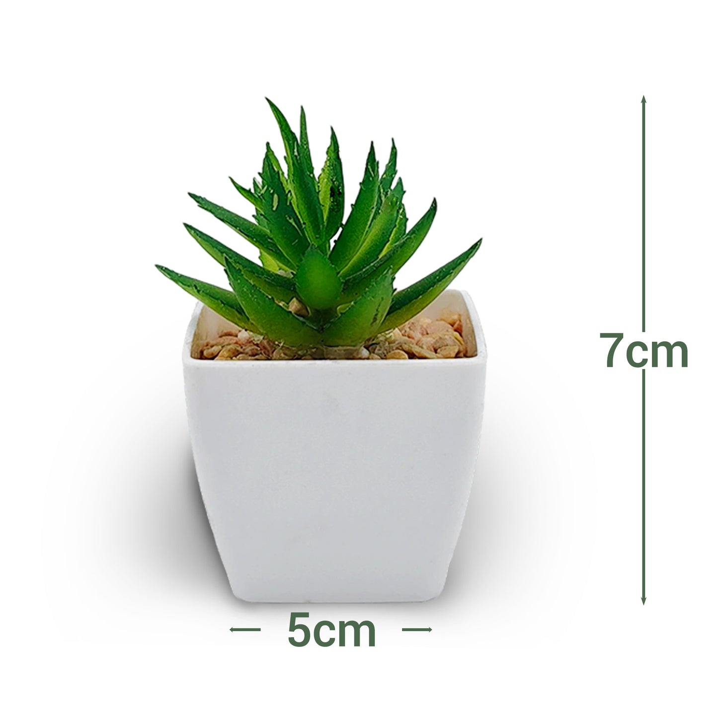 VATTEN HOME Plantas Verdes de simulación en macetas de 5,5 x 5,5 x 6 cm de plástico Verde para Crear un Paisaje Natural ecológico y decoración de escenas.