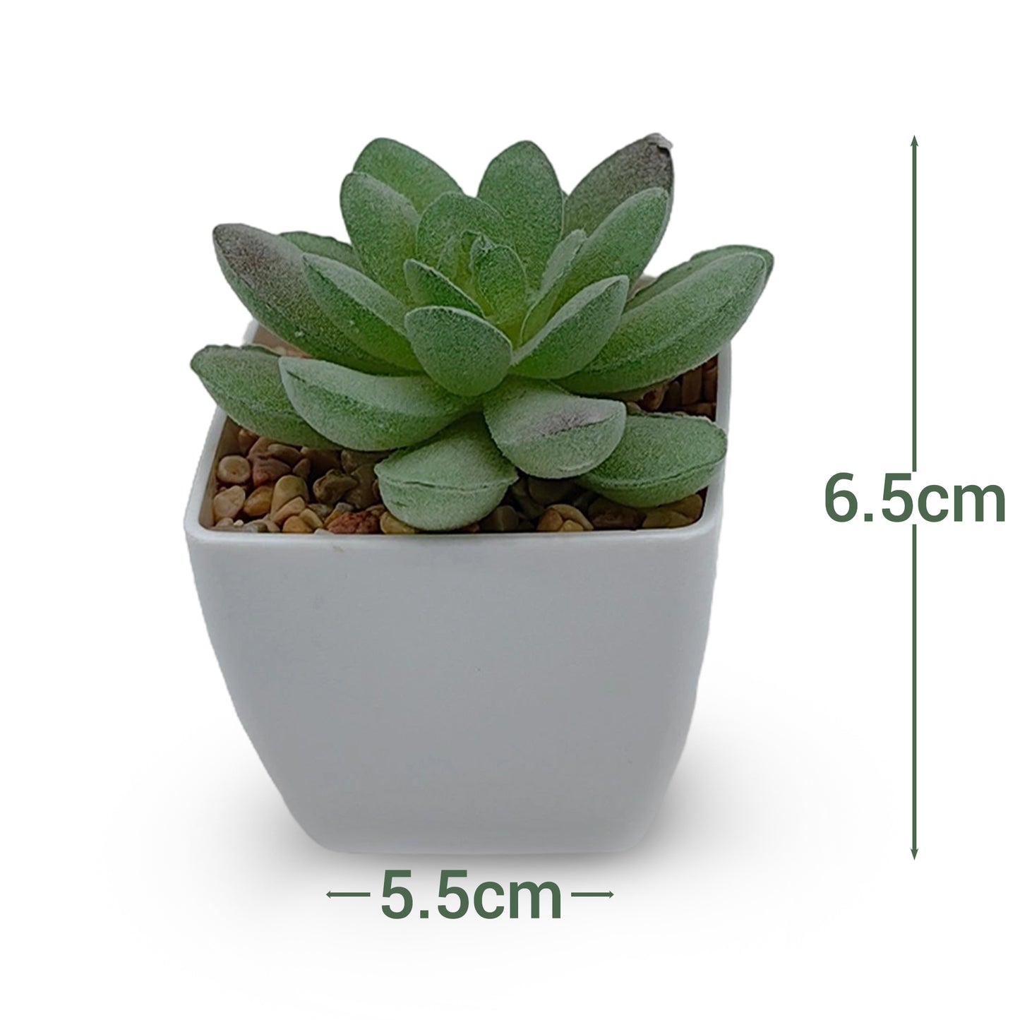 VATTEN HOME Plantas Verdes de simulación en macetas de 5,5 x 5,5 x 6 cm de plástico Verde para Crear un Paisaje Natural ecológico y decoración de escenas.