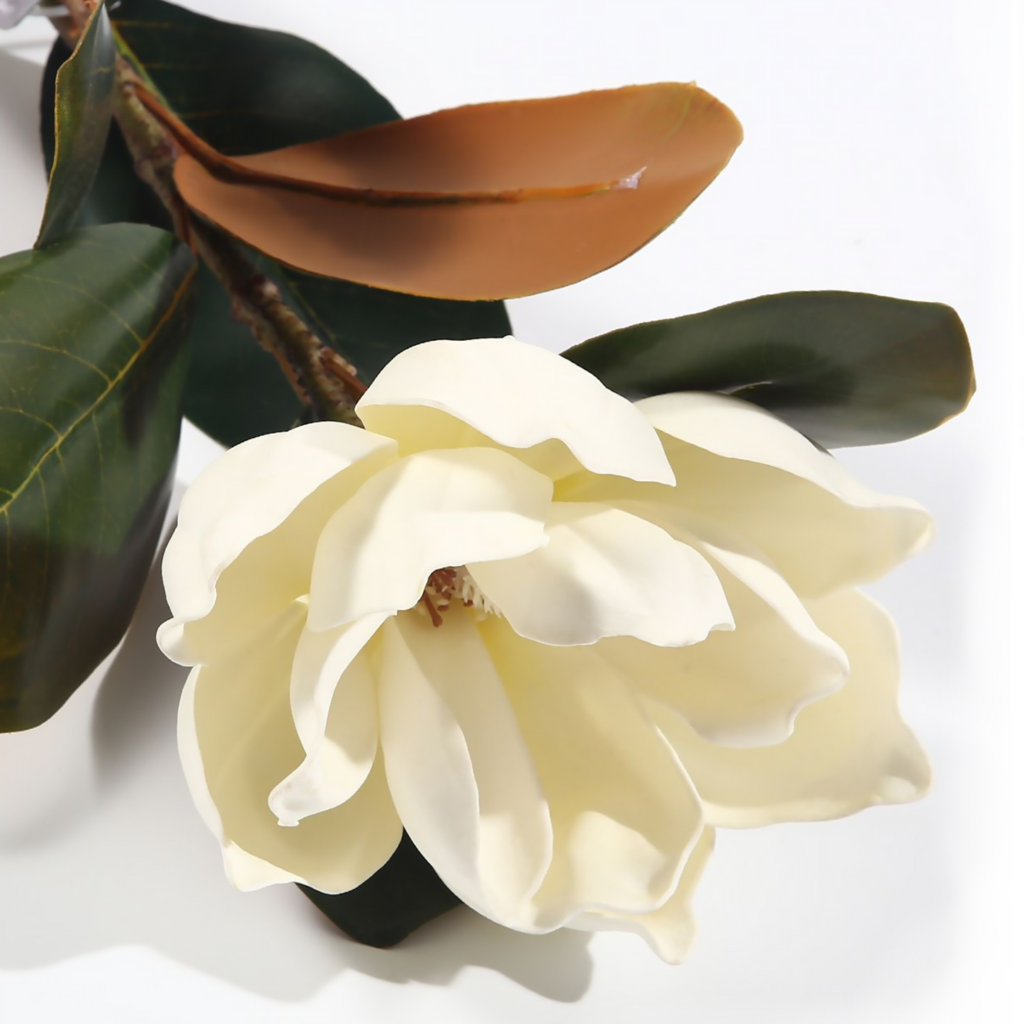 Flor de magnolia individual de 82 cm, color blanco EVA