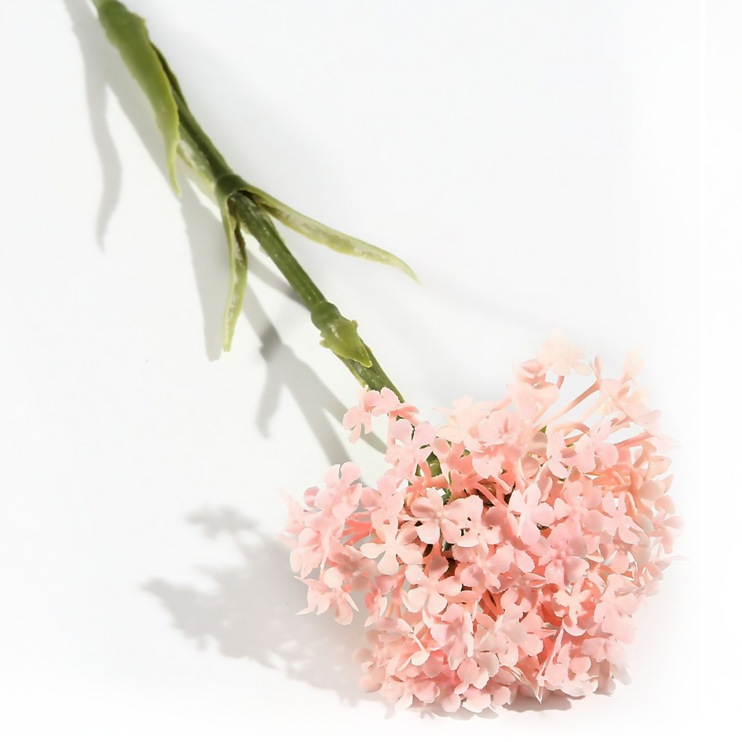 Viburnum individual 45*7CM Rosa