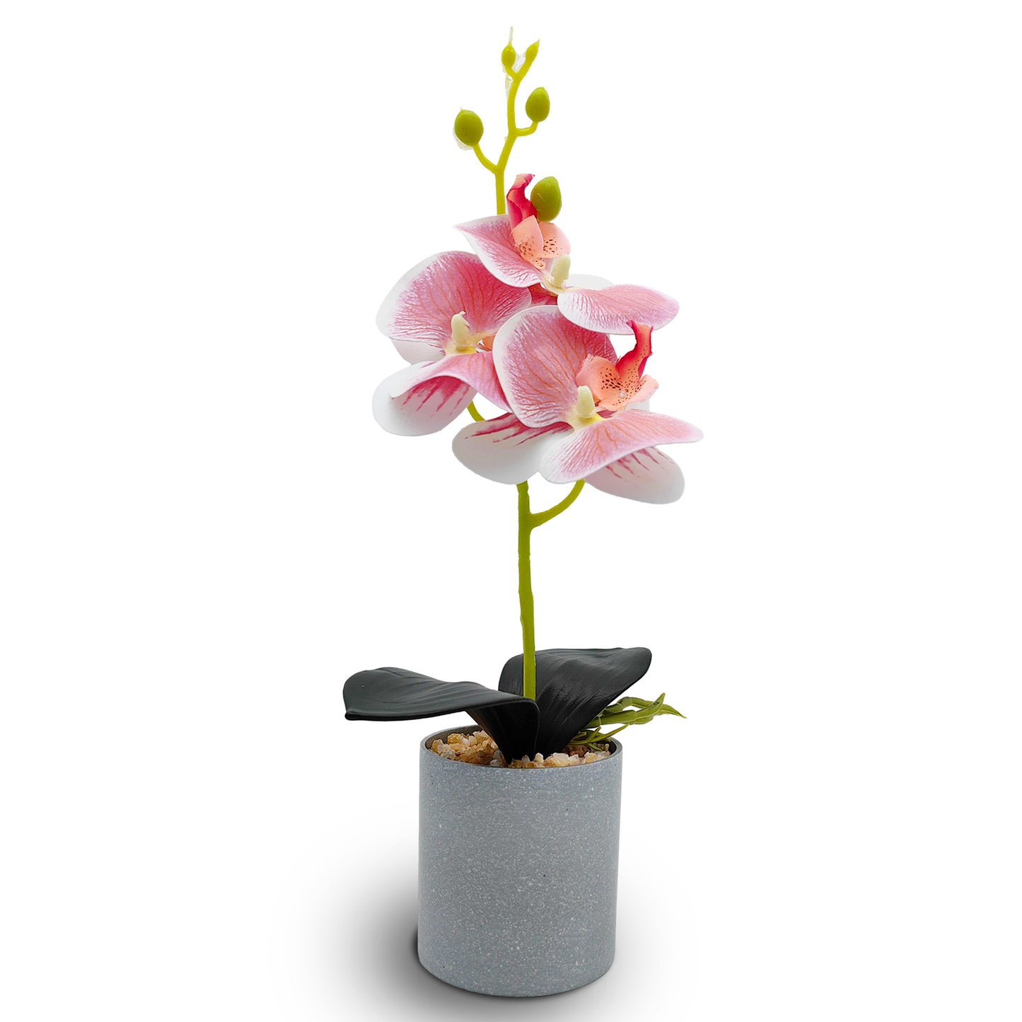 VATTEN HOME Maceta de melamina Artificial Phalaenopsis 3D de 3 Cabezas, 34 x 8 cm