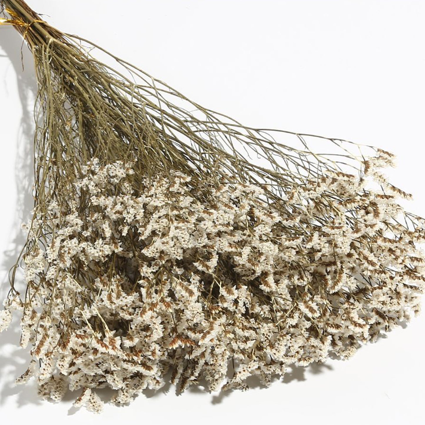 Los Ramos de Flores secas Naturales de Aliento de bebé se Pueden Usar para arreglos Florales, empaques de Regalo y Hacen Que la Vida hogareña esté Llena de Sentido Ritual.