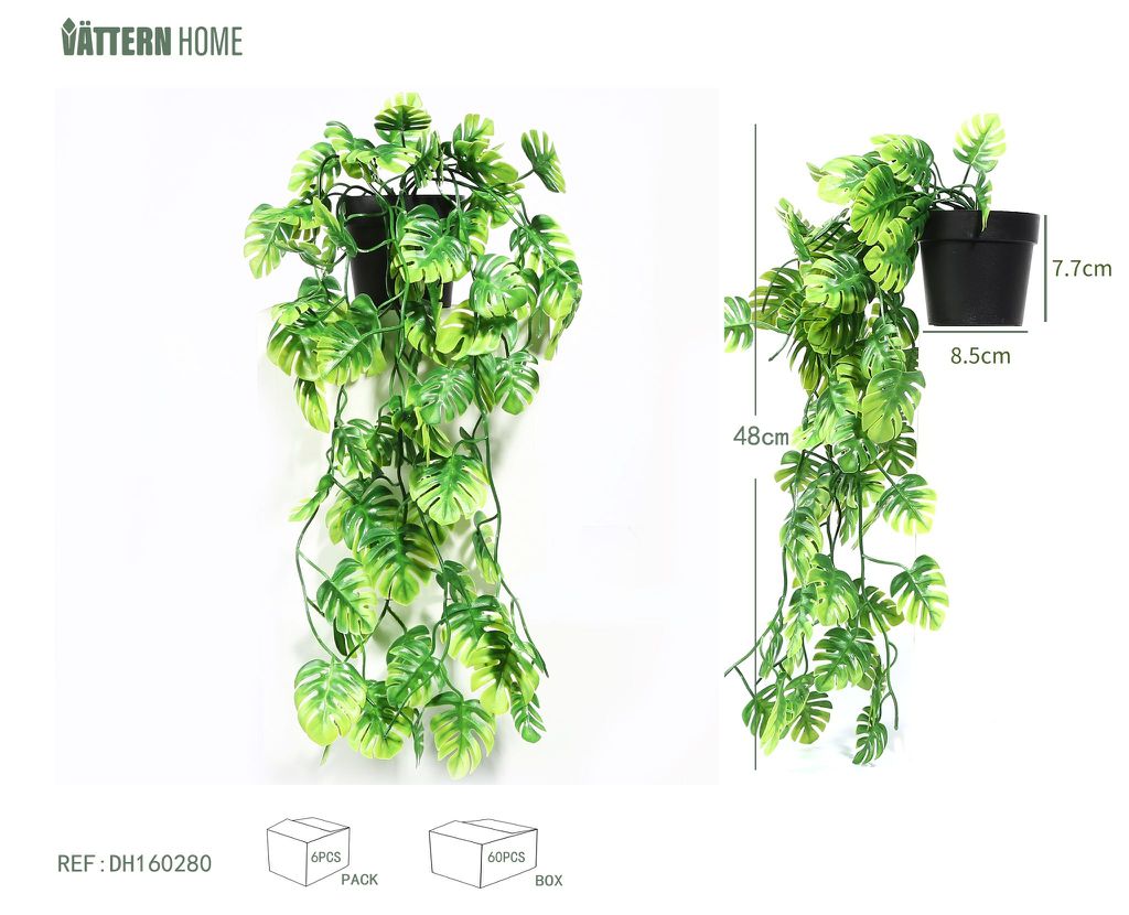 Planta de maceta de tortuga 48CMPE verde