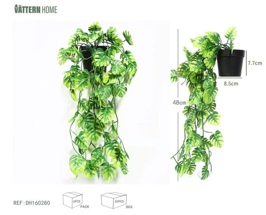 Planta de maceta de tortuga 48CMPE verde