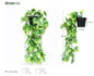Planta de maceta de tortuga 48CMPE verde