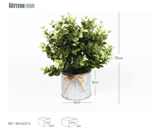 Eucalipto 25CMPE, verde hierro para decoración de interiores
