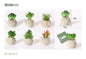 Maceta de plástico de simulación de planta de 5 x 8 cm, serie verde en maceta