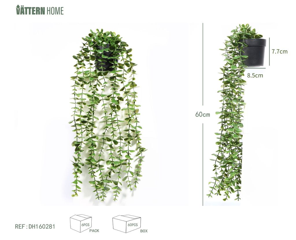 Planta de eucalipto en maceta 60CMPE verde