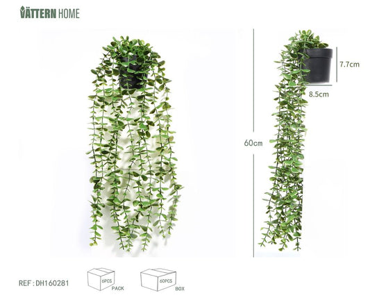 Planta de eucalipto en maceta 60CMPE verde