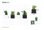 Planta de simulación de plástico 5*8CM Serie Verde