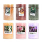 Vela Pilar Perfumada Para Un Ambiente Relajante Velas Aromáticas Decorativas