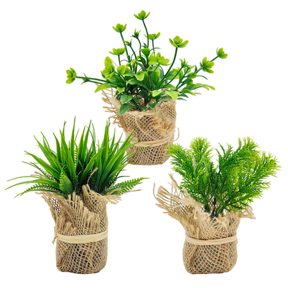 Paquete de 3 plantas en maceta de simulación de hierba, serie Grass, 5,5 x 5,5 x 4,5 cm