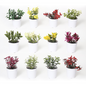 VATTEN HOME Surtido de Plantas Verdes simuladas, plantación con Horquilla, 5,5 x 5,5 x 9 cm, Serie Verde de plástico para Crear un Paisaje de Espacio Natural ecológico, decoración de escenas