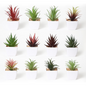 VATTEN HOME Surtido de Plantas Verdes simuladas, plantación con Horquilla, 5,5 x 5,5 x 9 cm, Serie Verde de plástico para Crear un Paisaje de Espacio Natural ecológico, decoración de escenas