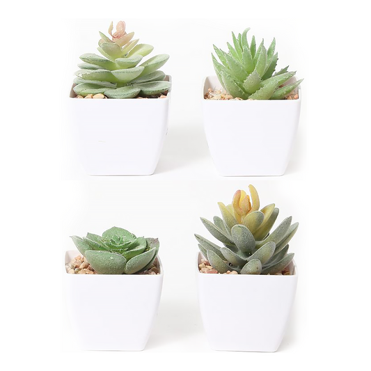 VATTEN HOME Plantas Verdes de simulación en macetas de 5,5 x 5,5 x 6 cm de plástico Verde para Crear un Paisaje Natural ecológico y decoración de escenas.