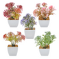 VATTEN HOME Paquete de 5 Plantas en Maceta de simulación de Flores y césped, 5,5 x 5,5 x 11 cm