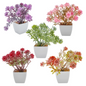 VATTEN HOME Paquete de 5 Plantas en Maceta de simulación de Flores y césped, 5,5 x 5,5 x 11 cm