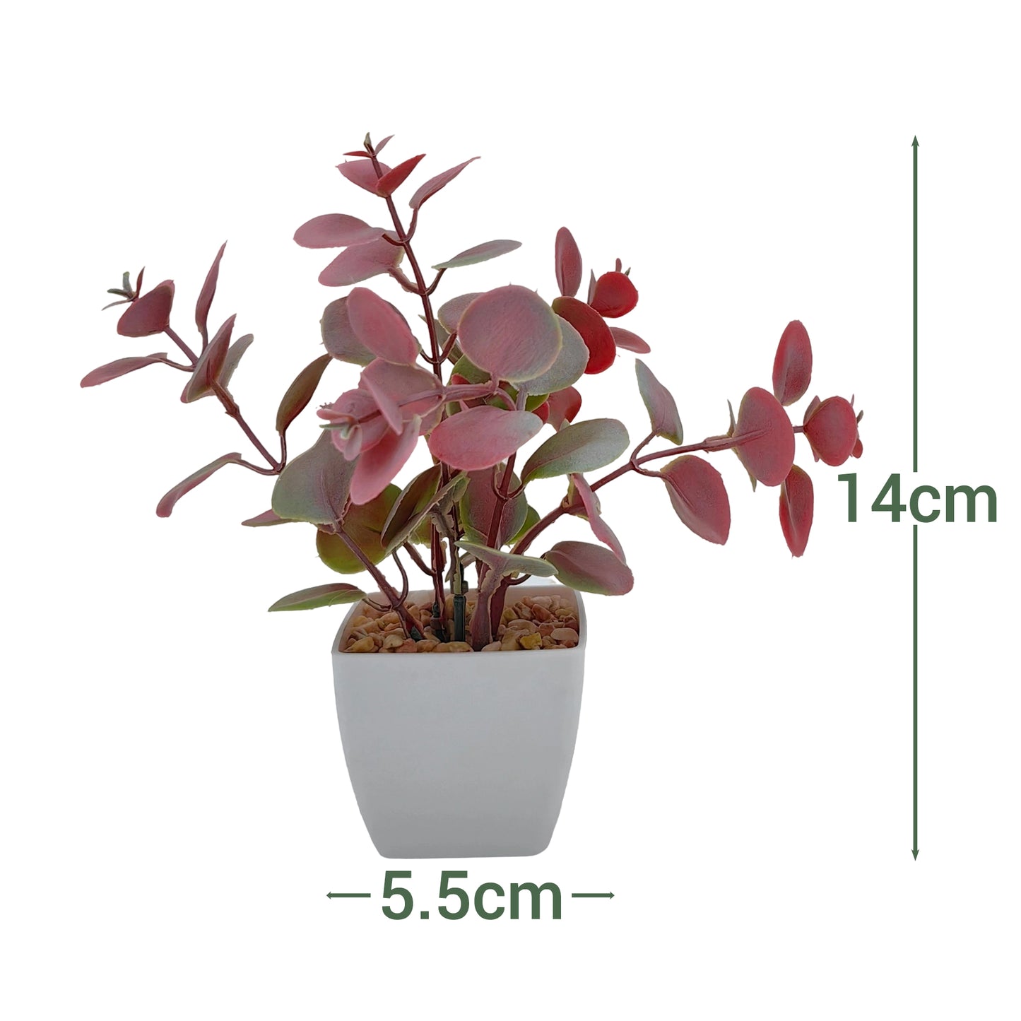 VATTEN HOME Paquete de 5 Plantas en Maceta de simulación de Flores y césped, 5,5 x 5,5 x 11 cm