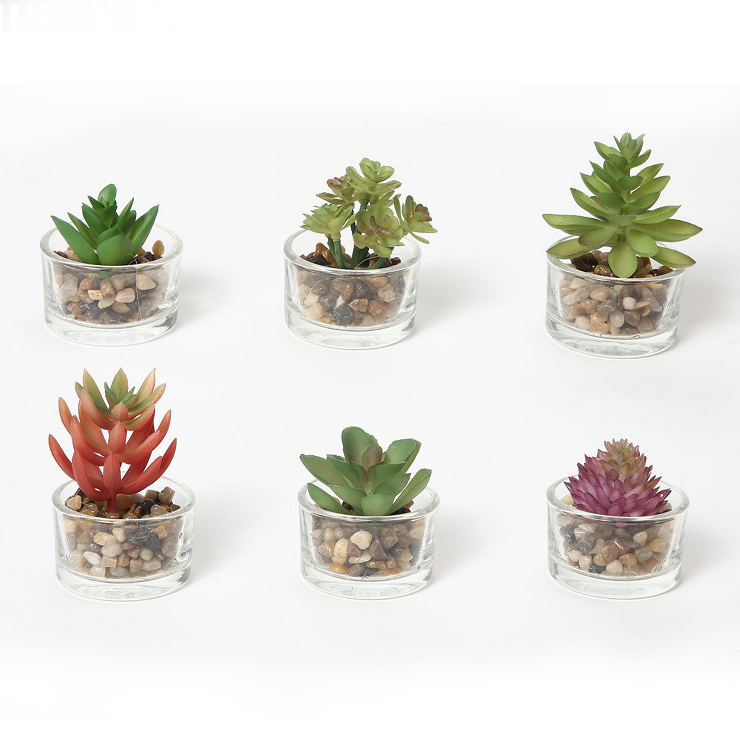 Paquete de 6 plantas artificiales de vidrio rojo y verde en macetas de 5 x 5 x 5 cm.
