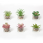 Plantas en maceta de vidrio de simulación variada de plantas verdes de 5 x 5 x 5 cm