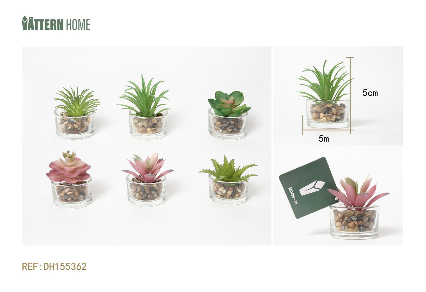 Plantas en maceta de vidrio de simulación variada de plantas verdes de 5 x 5 x 5 cm
