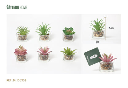 Plantas en maceta de vidrio de simulación variada de plantas verdes de 5 x 5 x 5 cm