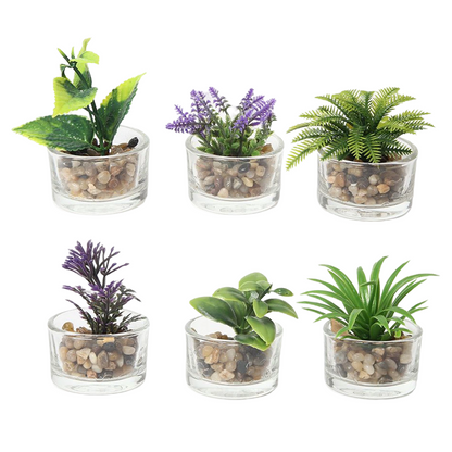 Maceta de cristal serie hierba, maceta para plantas verdes artificiales, 5 x 5 x 5 cm