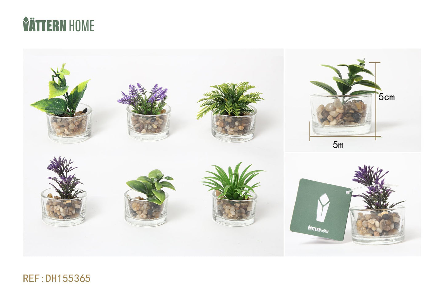 Maceta de cristal serie hierba, maceta para plantas verdes artificiales, 5 x 5 x 5 cm