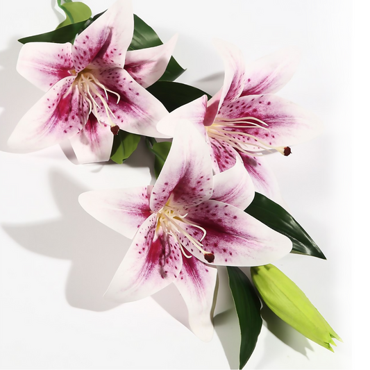 Lirio grande de 3 flores y 1 capullo, 108 cm, color morado.