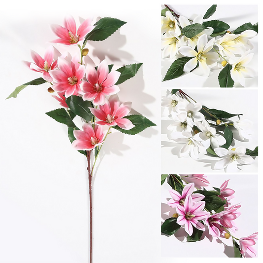 6 Magnolias 91CM blanco, morado, blanquecino, rosa