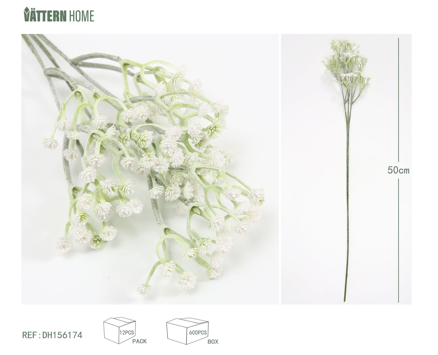 Gypsophila 50CM