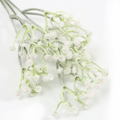 Gypsophila 50CM