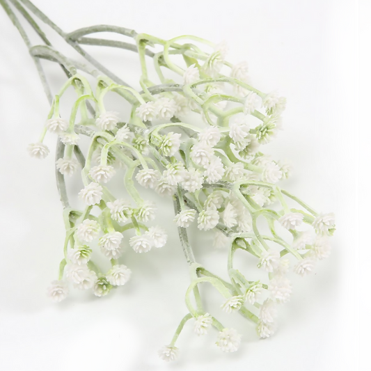 Gypsophila 50CM