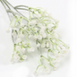 Gypsophila 50CM