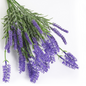 Ramo DE Flores Artificiales, Blanco, Morado, Polietileno+Hierro, Realista, Puro Y Elegante, para Crear FÁCILMENTE UN Ambiente ROMÁNTICO Y Elegante