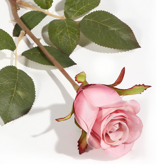 Rosa rosada individual de 64 cm