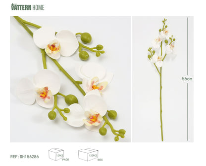 4 mini orquídeas Phalaenopsis 56CM blancas