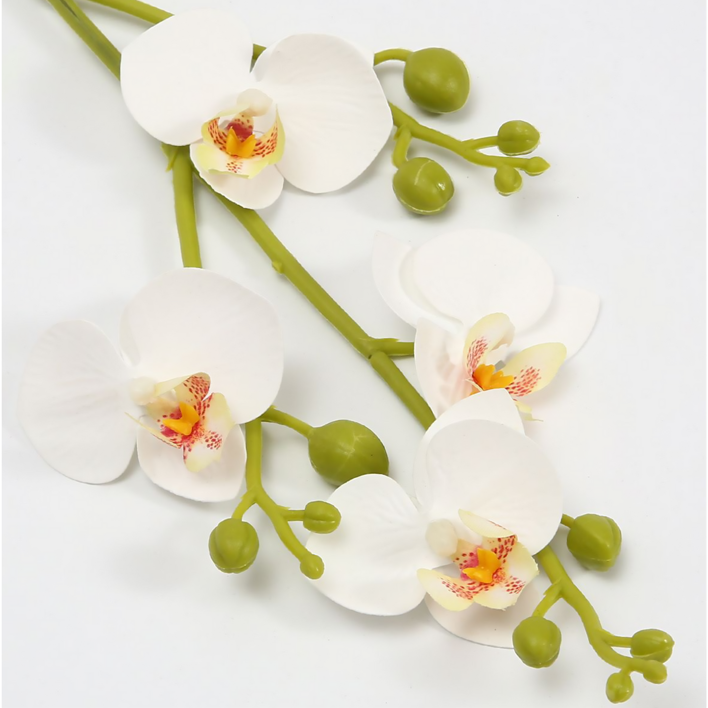 4 mini orquídeas Phalaenopsis 56CM blancas
