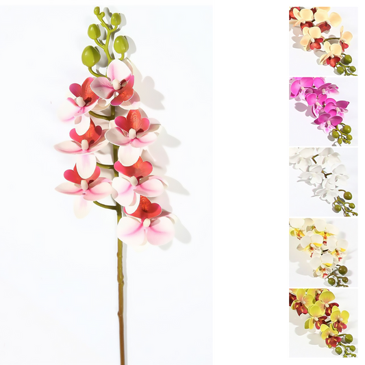 7 Phalaenopsis unidas 63CM verde, morado, blanco morado, amarillo, blanco + amarillo, blanco