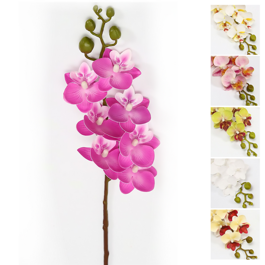 5 orquídeas Phalaenopsis unidas 57CM verde, morado, blanco morado, amarillo, blanco + amarillo, blanco