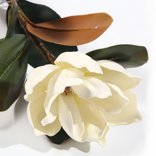 Flor de magnolia individual de 82 cm, color blanco EVA