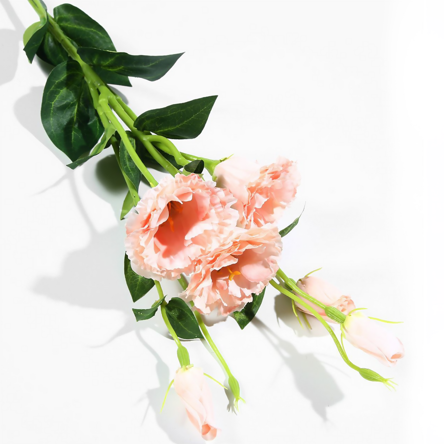 Eustoma multicabezal simple de 78 cm, color blanco