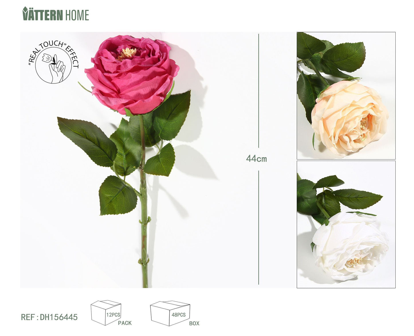 Sensación de película única Austin Rose 44CM rosa, champán, blanco
