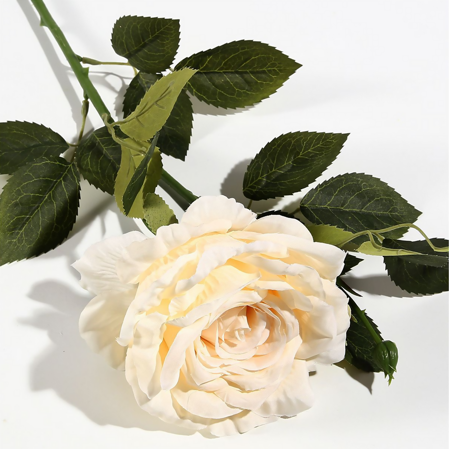 Tela de seda rosa individual 62*13CM blanco