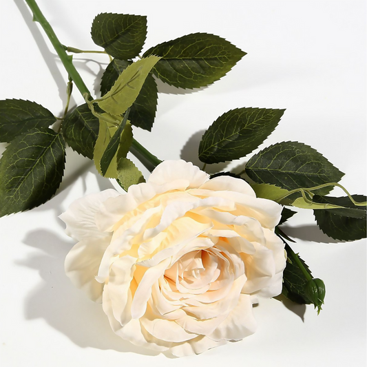 Tela de seda rosa individual 62*13CM blanco