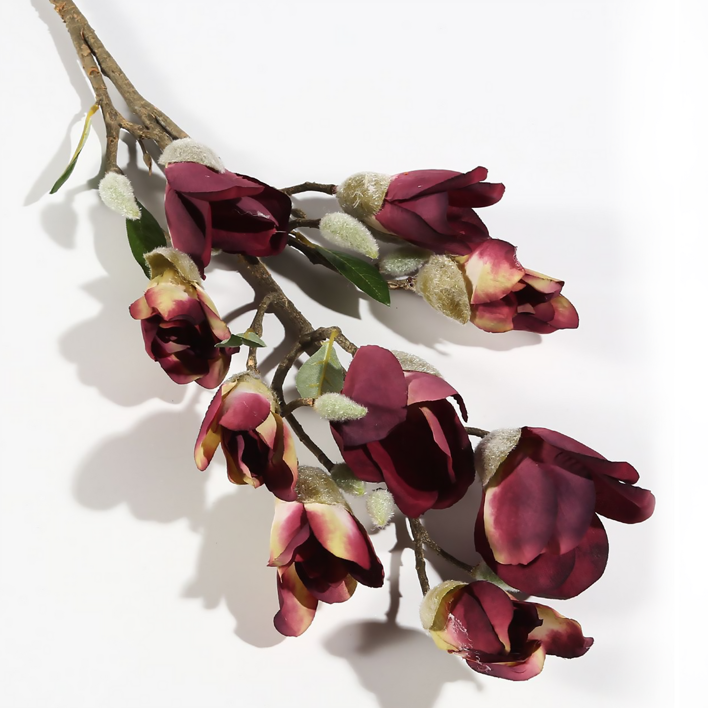9 ramas de magnolia 85*20CM Champán
