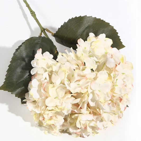 Hortensia grande individual 65*20CM blanca